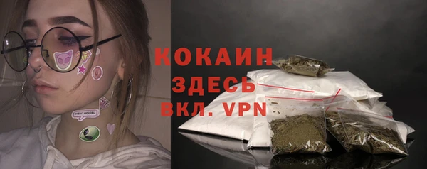 дмт Абаза