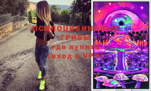 дмт Абаза