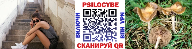 Галлюциногенные грибы прущие грибы  цены наркотик  Хадыженск 